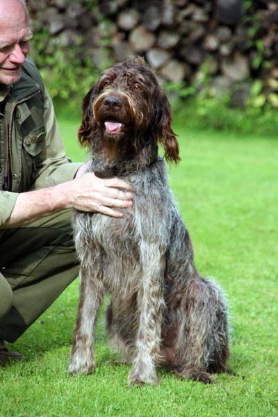 Griffontreffen07- 031.jpg